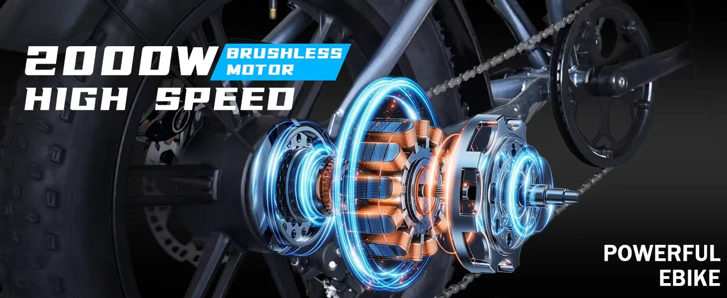 Deepower Electric Bike 2000W 48V 60AH 20Inch Fat Tire Mountain Ebike for Adults Disc Brake Off-Road Adventure Electric Bicycle