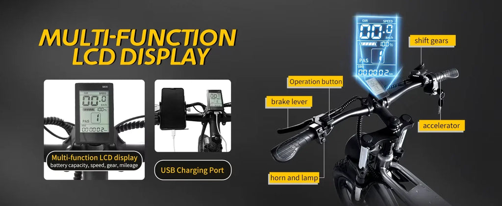 Deepower Electric Bike 2000W 48V 60AH 20Inch Fat Tire Mountain Ebike for Adults Disc Brake Off-Road Adventure Electric Bicycle