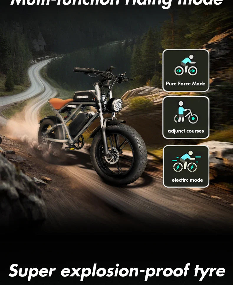 1000W Motor Electric bike 48V 55AH 20-inch Snow Tire Electric bicycle Outdoor adult Off-Road Bicycle Mountain Ebike