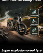 1000W Motor Electric bike 48V 55AH 20-inch Snow Tire Electric bicycle Outdoor adult Off-Road Bicycle Mountain Ebike