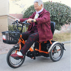 Mini Electric Tricycle With Passenger Seat For Elderly 250w 24v Lightweight Family Electric Bike 3 Wheel For Women Man Adult