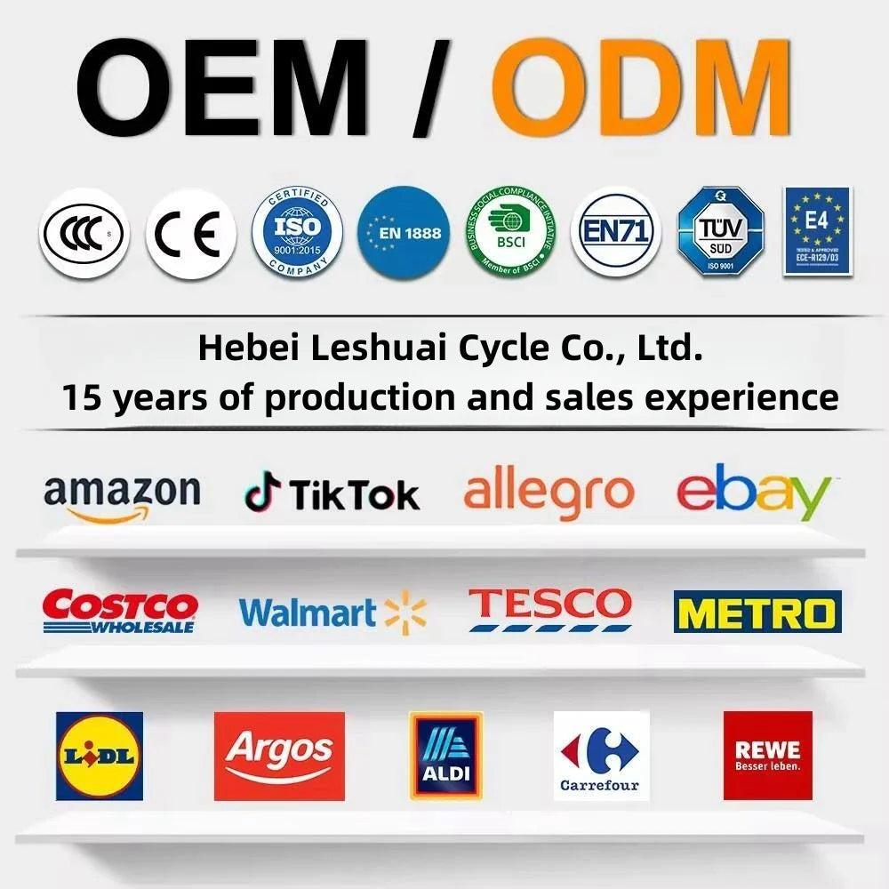 Hot Sale Foldable Electric Bike for Adult Cycling Sports Ebik Leisure Cycling in the City 14" Electric Folding Bicycle