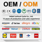 Hot Sale Foldable Electric Bike for Adult Cycling Sports Ebik Leisure Cycling in the City 14" Electric Folding Bicycle