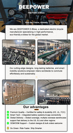 DEEPOWER S7Pro Electric Bike for Adults, 48V, 60Ah,Dual Battery, 20''x4.0 Fat Tires,Snow Mountain E-Bike, 2000W Electric Bicycle