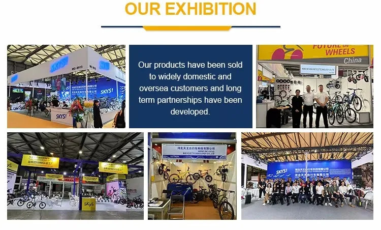 Electric Two-wheeler E Bike E Bicycle 500W Electric Bike Electric Bicycle with 48V/60V Lead- Acid Battery for Adults