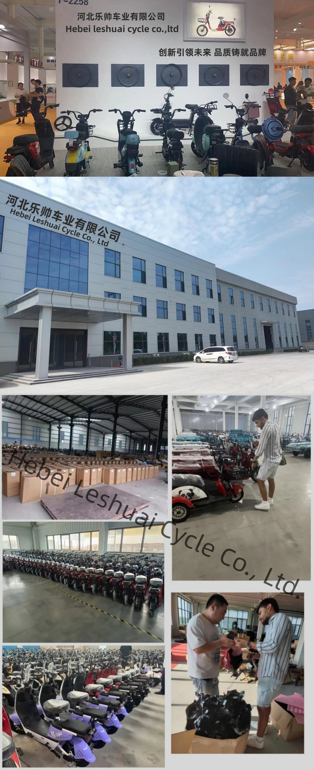 Hot Sale Foldable Electric Bike for Adult Cycling Sports Ebik Leisure Cycling in the City 14" Electric Folding Bicycle