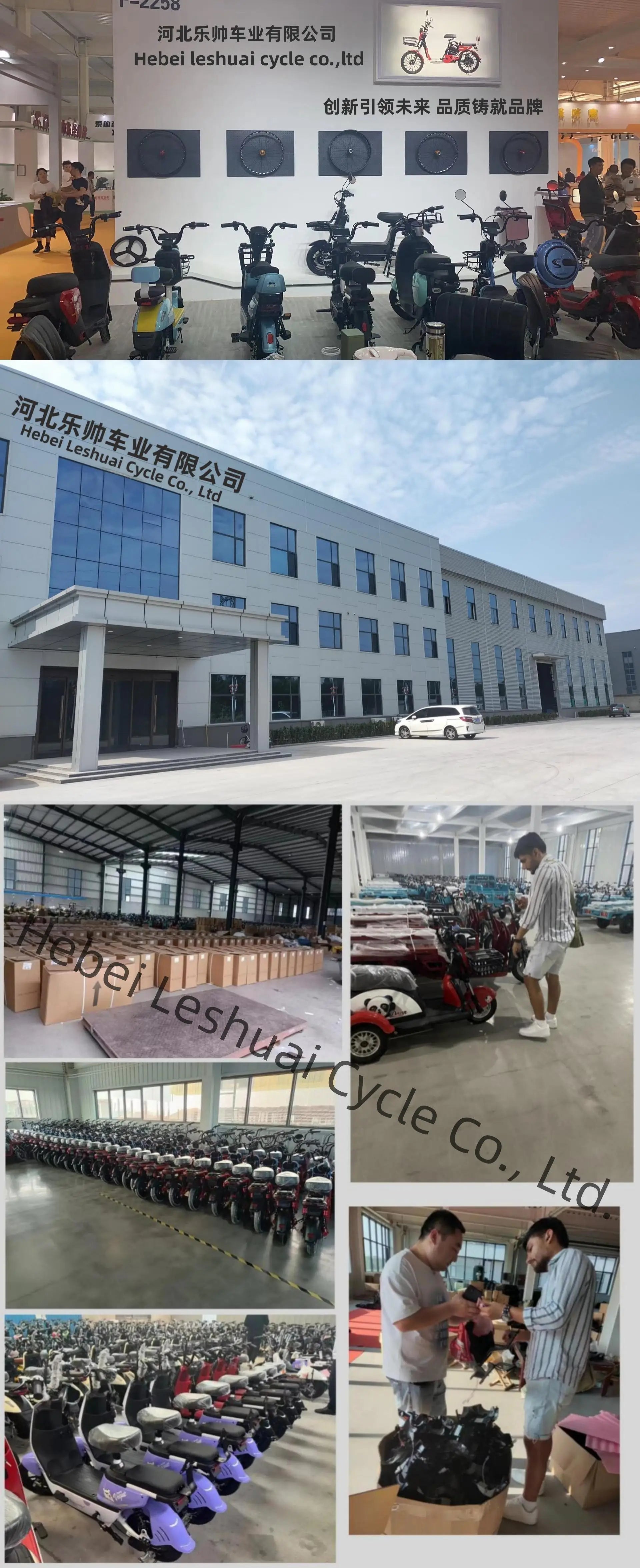 Hot Sale Foldable Electric Bike for Adult Cycling Sports Ebik Leisure Cycling in the City 14" Electric Folding Bicycle