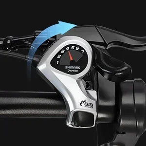 Q20Pro Electric bike High-Power Dual Motors 2000W Dual Batteries40AH, Top Speed 60KM/H, PAS Mode, 20*4.0 Fat Tire Electric bike