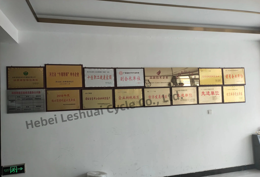 Hot Sale Foldable Electric Bike for Adult Cycling Sports Ebik Leisure Cycling in the City 14" Electric Folding Bicycle