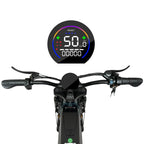 1000W Motor Electric bike 48V 55AH 20-inch Snow Tire Electric bicycle Outdoor adult Off-Road Bicycle Mountain Ebike