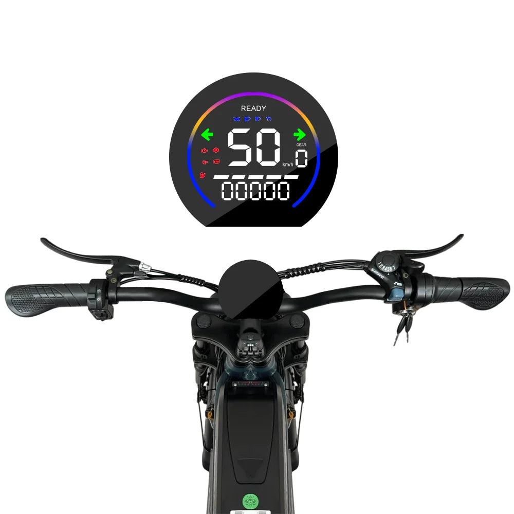 1000W Motor Electric bike 48V 55AH 20-inch Snow Tire Electric bicycle Outdoor adult Off-Road Bicycle Mountain Ebike