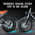 DEEPOWER S7Pro Electric Bike for Adults, 48V, 60Ah,Dual Battery, 20''x4.0 Fat Tires,Snow Mountain E-Bike, 2000W Electric Bicycle