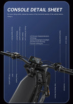 E6 Adult Electric Bicycle 2000w 52V 40ah Mountain Electric Bike 25 Inch Tire Outdoor Entertainment Off Road E Bike