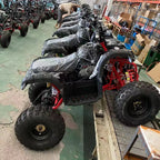 60V 2000W Electric ATV Electric Start Quad Bike Shaft Drive with Disc Brake for Adult EEC COC