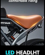 1000W Motor Electric bike 48V 55AH 20-inch Snow Tire Electric bicycle Outdoor adult Off-Road Bicycle Mountain Ebike