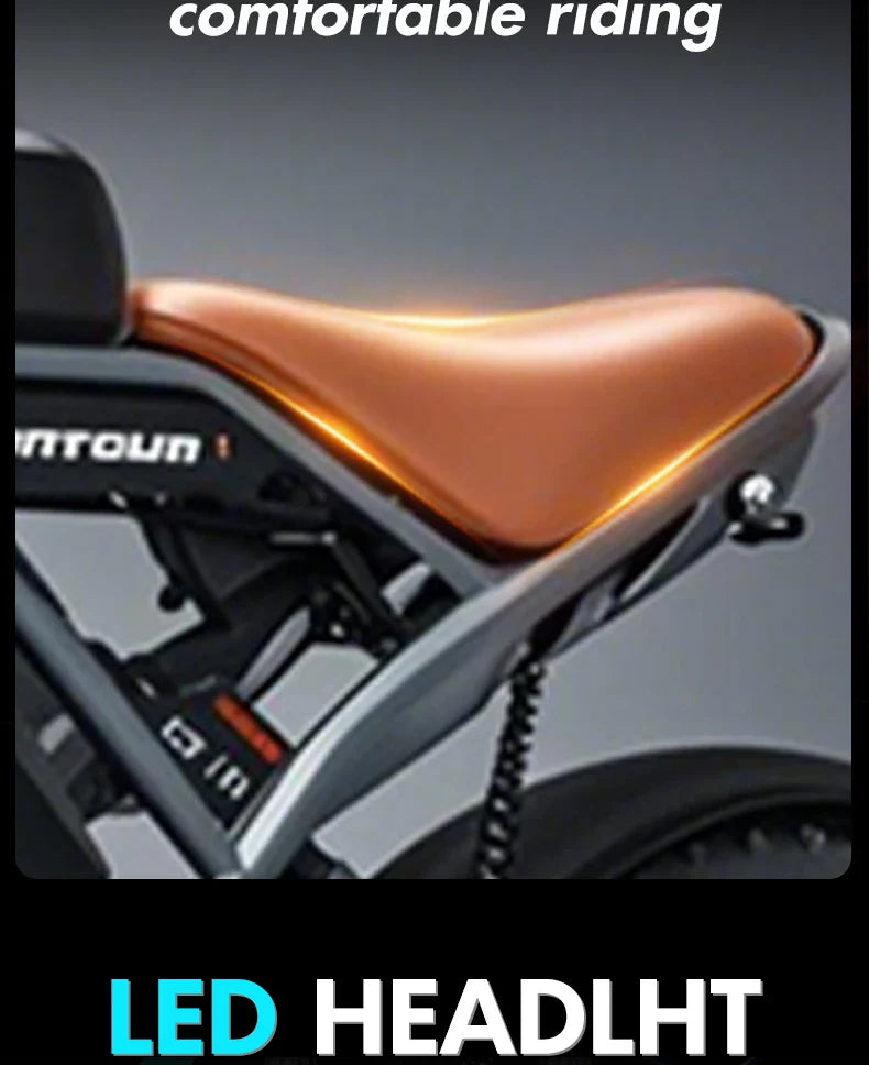 1000W Motor Electric bike 48V 55AH 20-inch Snow Tire Electric bicycle Outdoor adult Off-Road Bicycle Mountain Ebike