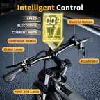 1000W Motor Electric bike 48V 55AH 20-inch Snow Tire Electric bicycle Outdoor adult Off-Road Bicycle Mountain Ebike