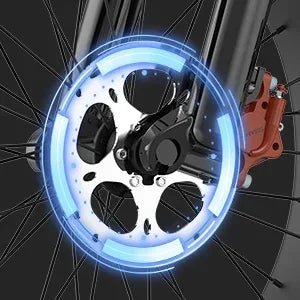 Q20Pro Electric bike High-Power Dual Motors 2000W Dual Batteries40AH, Top Speed 60KM/H, PAS Mode, 20*4.0 Fat Tire Electric bike