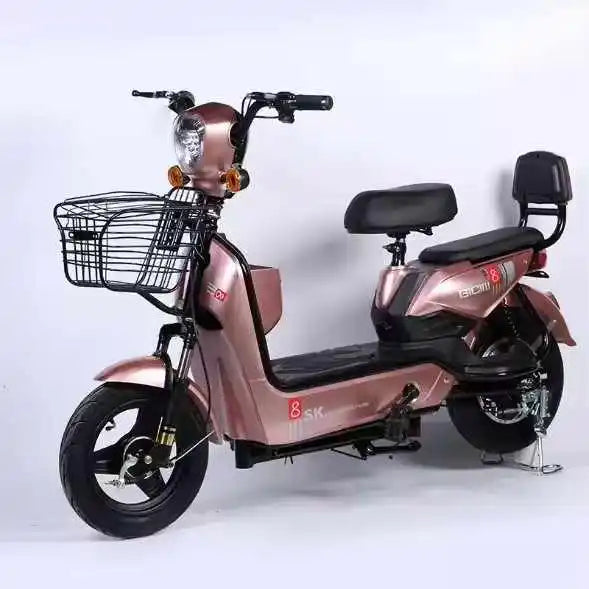 Electric Two-wheeler E Bike E Bicycle 500W Electric Bike Electric Bicycle with 48V/60V Lead- Acid Battery for Adults